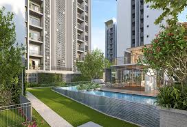 Rohan saroha project